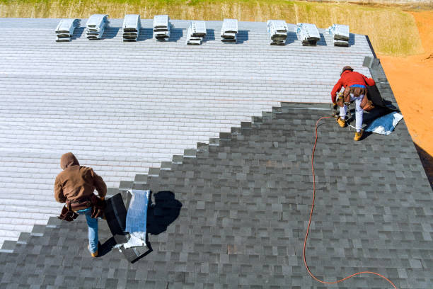 Best Roof Moss and Algae Removal  in Nescopeck, PA