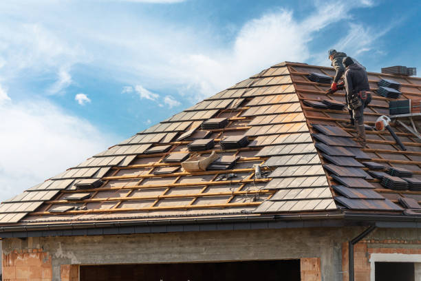 Best Roofing for New Construction  in Nescopeck, PA