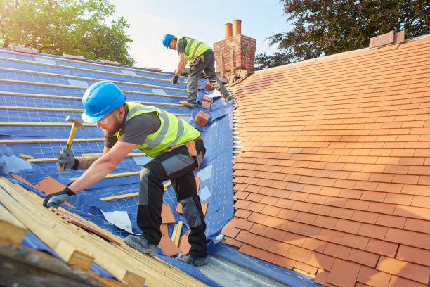 Roof Insulation in Nescopeck, PA